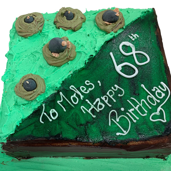 Those Pesky Moles Birthday Cake