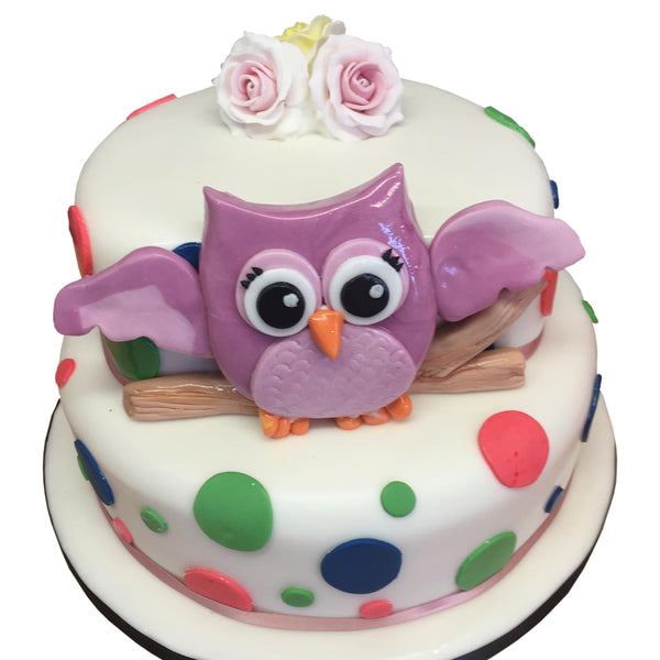 Olive the Owl Birthday Cake