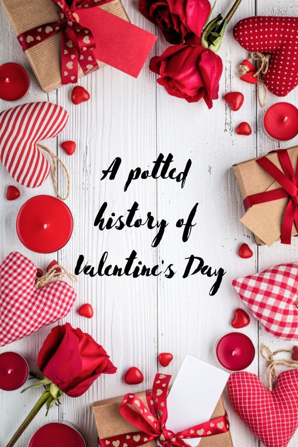 A Potted History of Valentine's Day